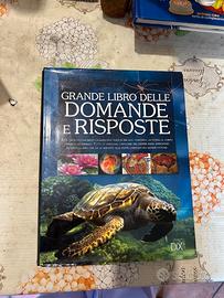 Grande libro delle domande e risposte