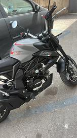 Lem brutus 110
