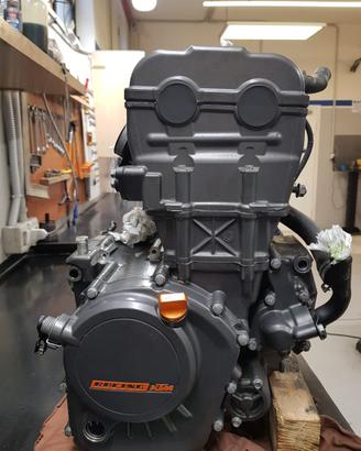 SMEMBRO DUKE 2016 125 2000 km