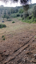 Terreno agricolo