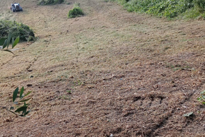 Terreno agricolo