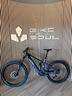 e-mtb-raymon-vamok-pro