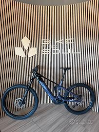 E-Mtb Raymon Vamok Pro