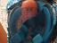 Immagine 2