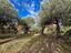 Immagine 16
