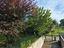 Immagine 11