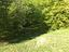 Immagine 19
