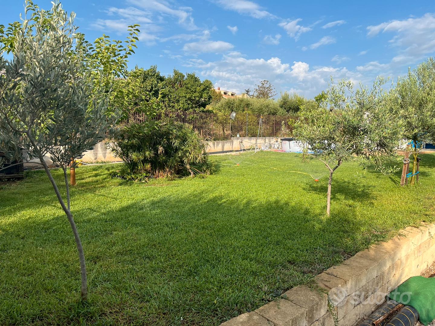 Terreno agricolo - Vista 4