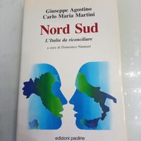 Nord Sud: L'Italia da riconciliare dinamiche e nec