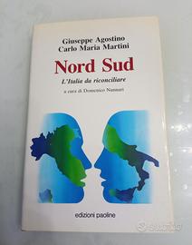 Nord Sud: L'Italia da riconciliare dinamiche e nec
