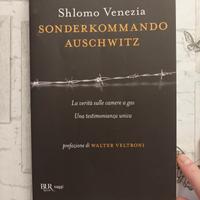 Sonderkommando Auschwitz 