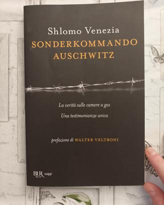 Sonderkommando Auschwitz 