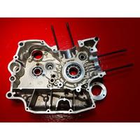 CARTER MOTORE SX DUCATI MONSTER 696