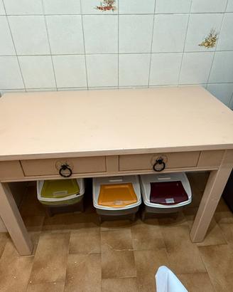 Tavolo in legno chiaro