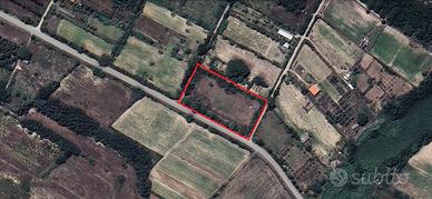 Terreno agricolo 5000mq a Ghilotta