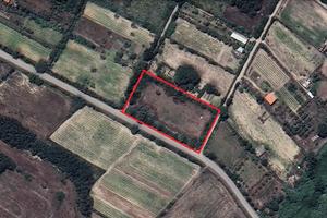 Terreno agricolo 5000mq a Ghilotta