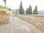 Immagine 15
