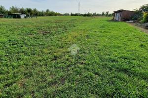 TER. AGRICOLO A PIANIGA