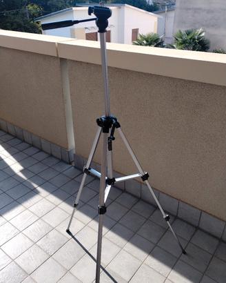 cavalletto Reporter