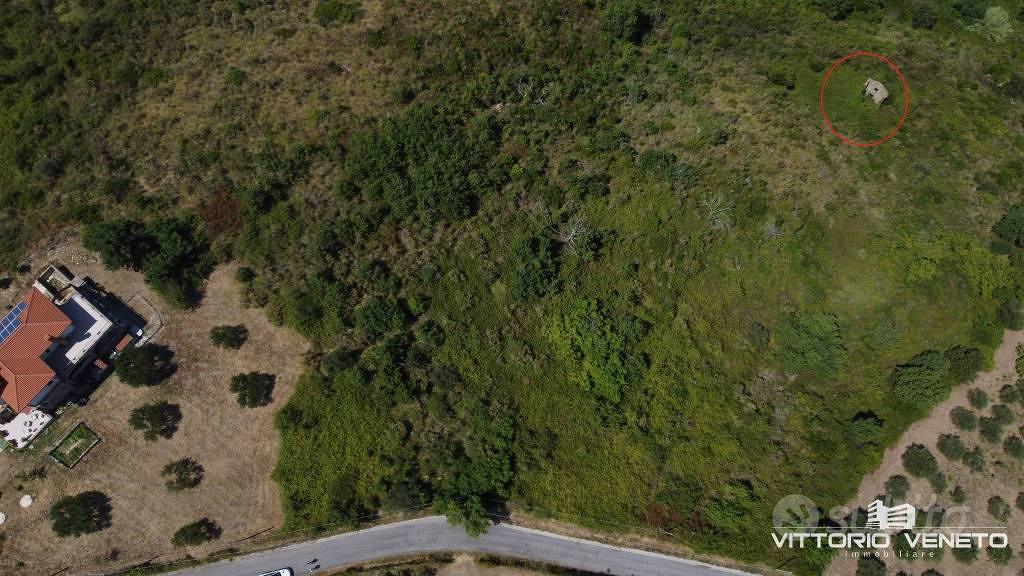Terreno di 29526 m² a Laureana Cilento - Vista 5