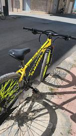 Bicicletta Brera MTB 