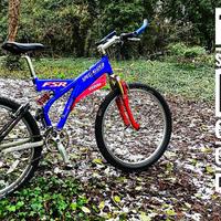 Specialized fsr