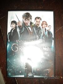 Dvd fantasy