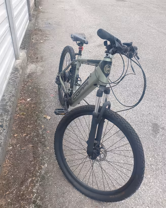 bici elettrica montainbike