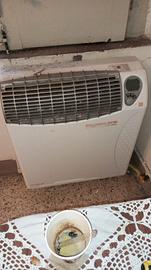 Radiatore a gas caldorio