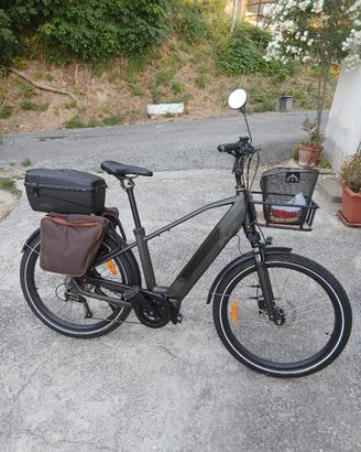 Ebike Xp 