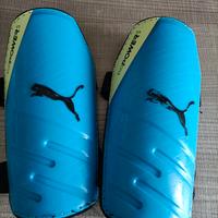 Parastinchi Puma bambino