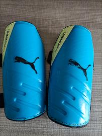 Parastinchi Puma bambino