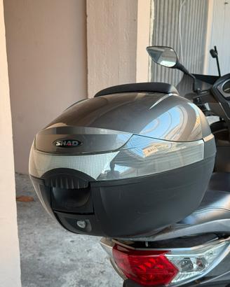 Bauletto motorino Shad