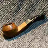 Pipa  rhodesian savineli