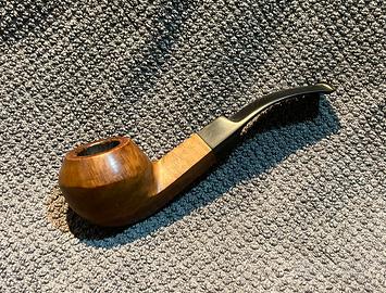 Pipa  rhodesian savineli