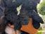 Immagine 4
