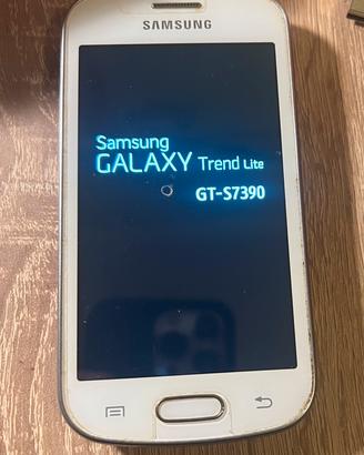 Samsung Galaxy GT-S7390