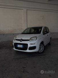 Fiat Panda 1.2 Benzina 2017