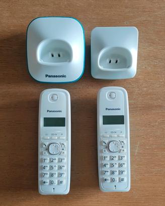 Cordless Panasonic - Duo