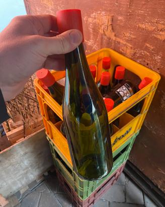 Bottiglie vino vuote
