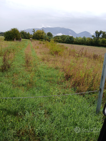 Terreno agricolo