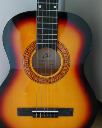 Chitarra Eko