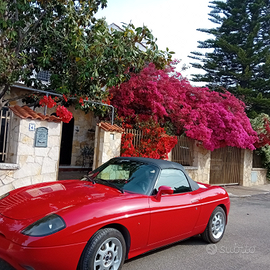 Fiat barchetta