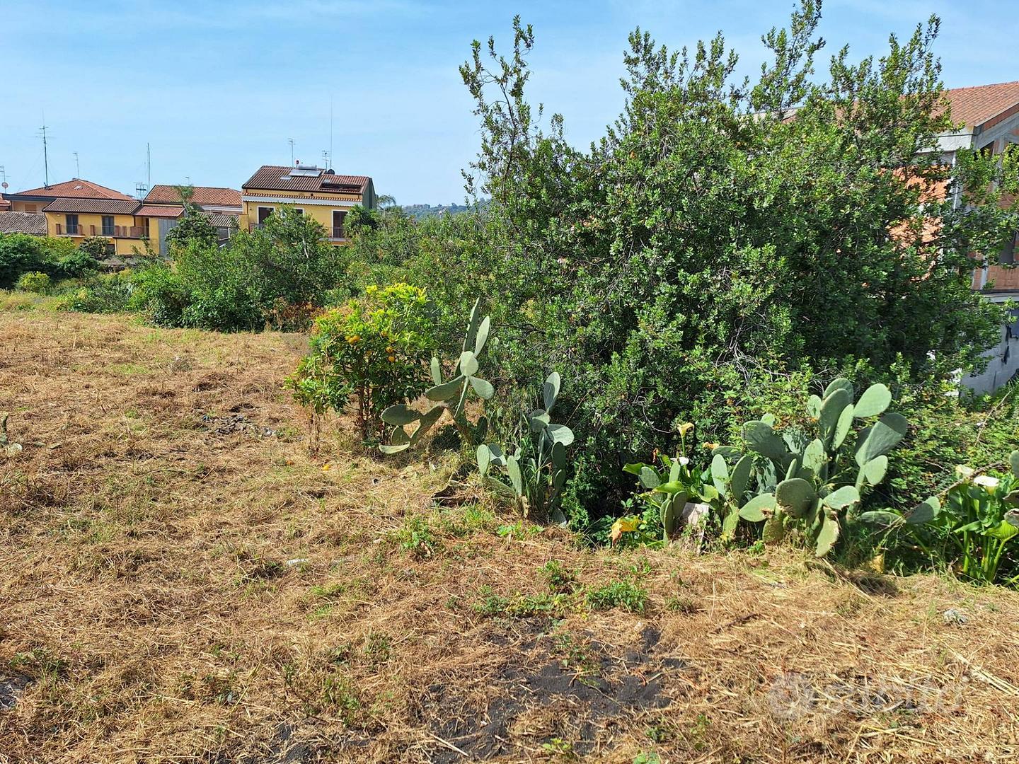Terreno Edificabile - Acireale - Vista 2