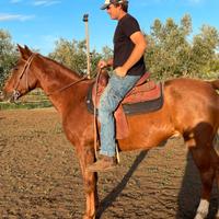 Cavallo e selle
