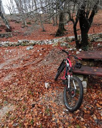 emtb ebike Fantic xf1 160 