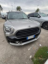 Mini Countryman d