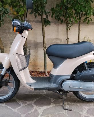Honda Sky 50