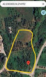 Terreno agricolo bosco uliveto