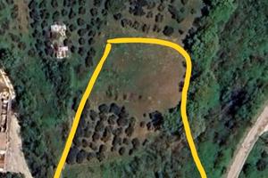 Terreno agricolo bosco uliveto